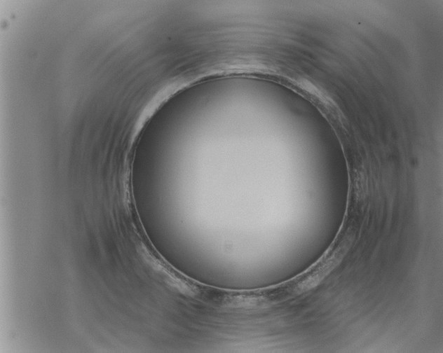 X0000069391374200605192203