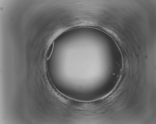 X0000069391375200605192203