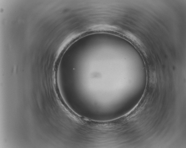 X0000069391376200605192203