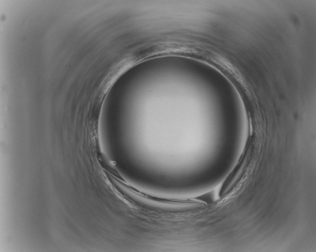 X0000069391377200605192203