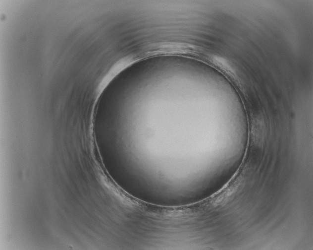 X0000069391378200605192203