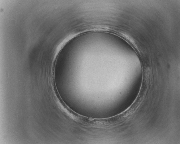 X0000069391379200605192203