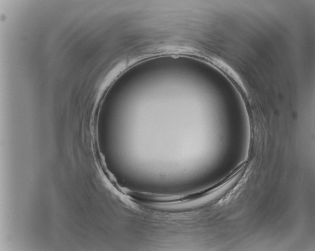 X0000069391381200605192203