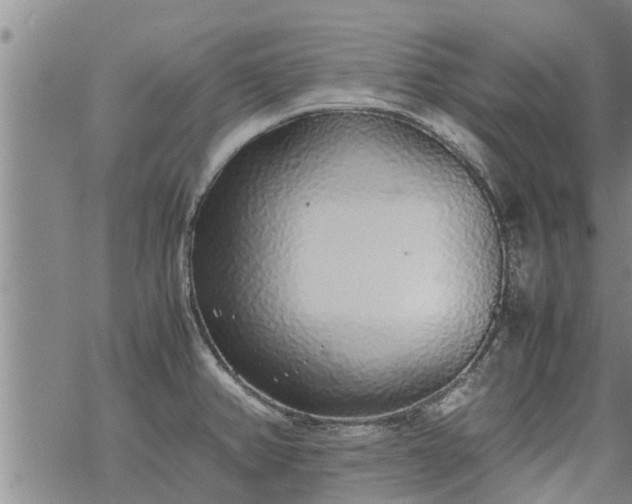 X0000069391382200605192203