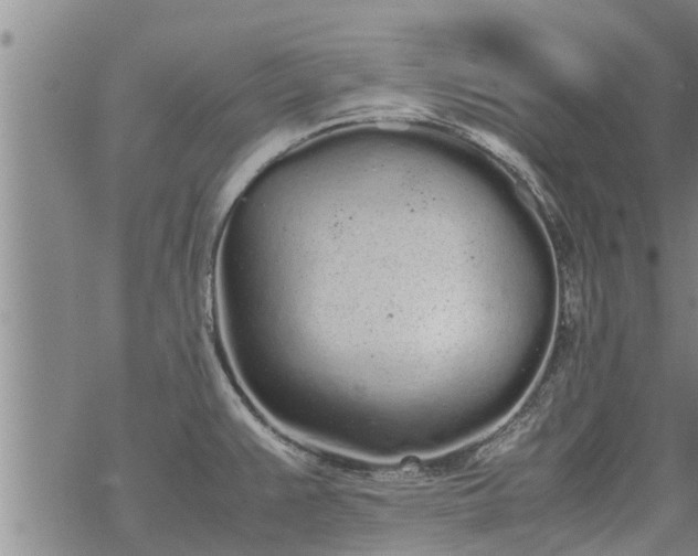 X0000069391383200605192203