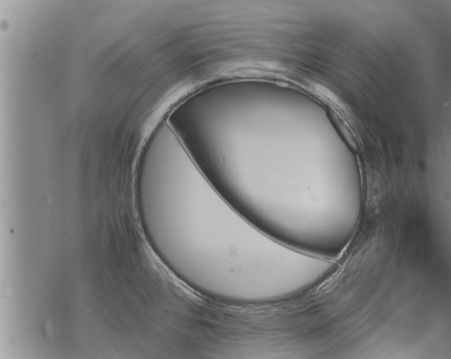 X0000069391384200605192203