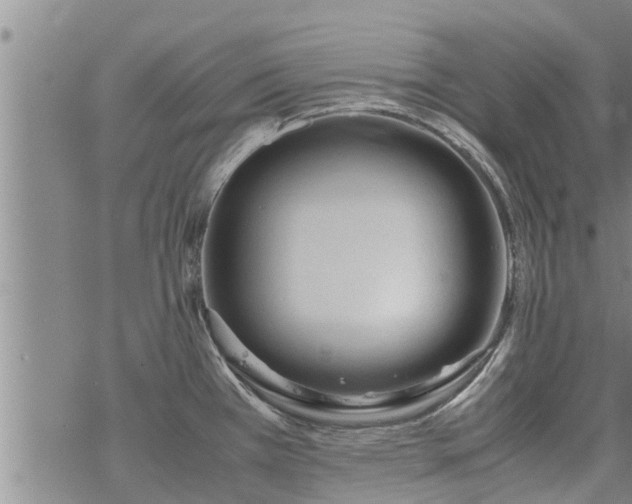 X0000069391385200605192203