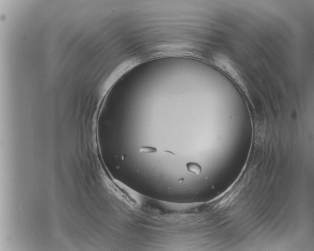 X0000069391386200605192203