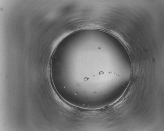 X0000069391387200605192203