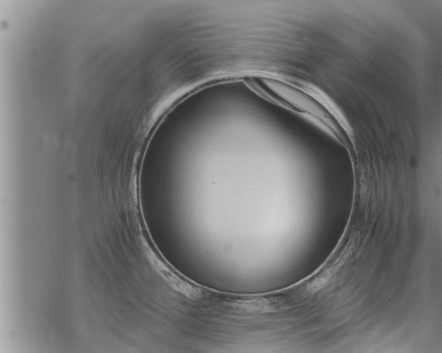 X0000069391388200605192203