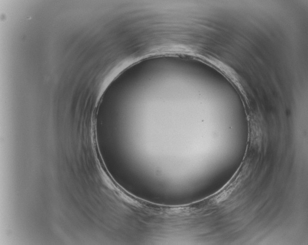 X0000069391390200605192203