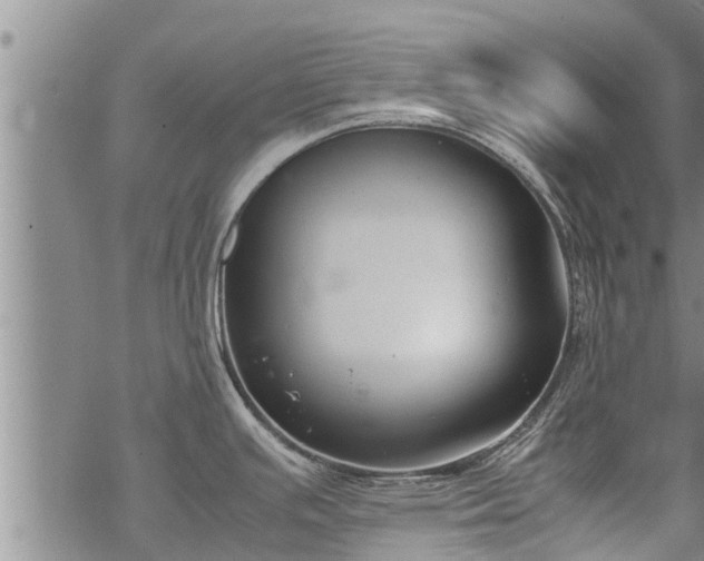 X0000069391391200605192203