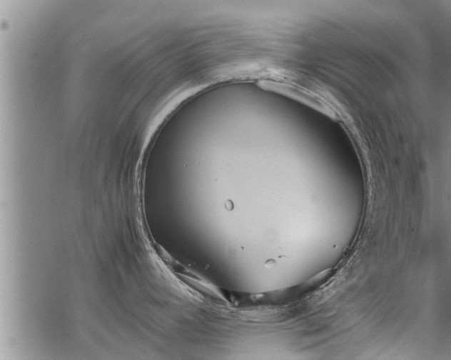 X0000069391392200605192203