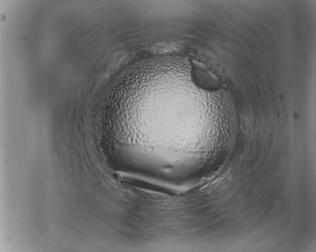 X0000069391393200605192202