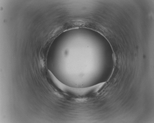 X0000069391394200605192202