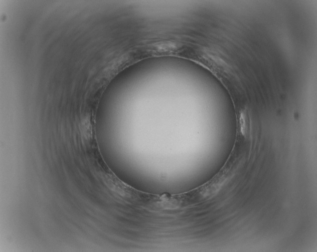 X0000069391395200605192202