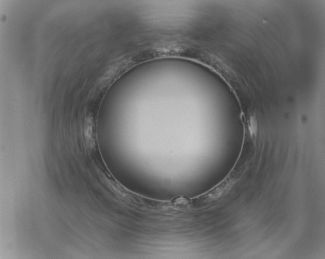 X0000069391396200605192202