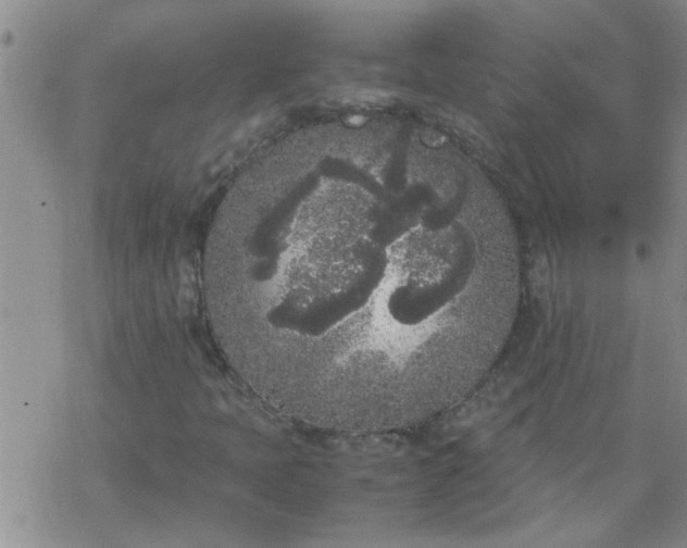 X0000069391397200605192202