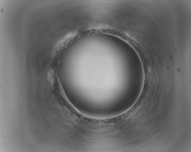 X0000069391398200605192202