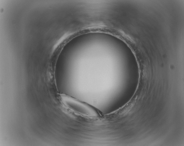 X0000069391400200605192202