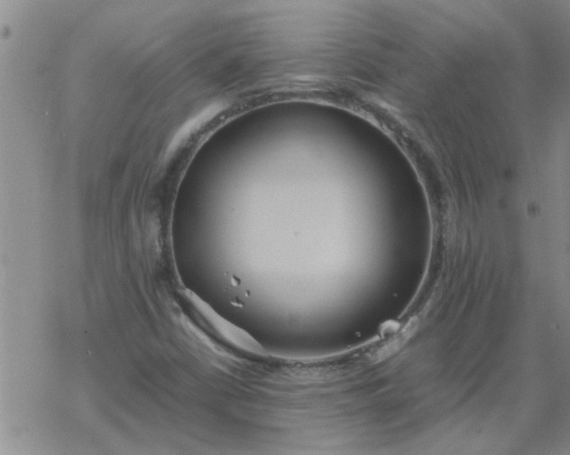 X0000069391402200605192202