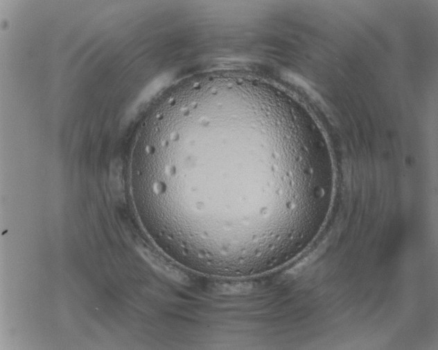 X0000069391403200605192202