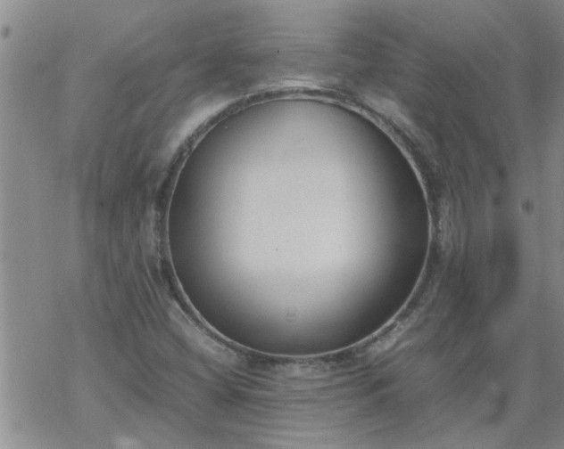 X0000069391404200605192202