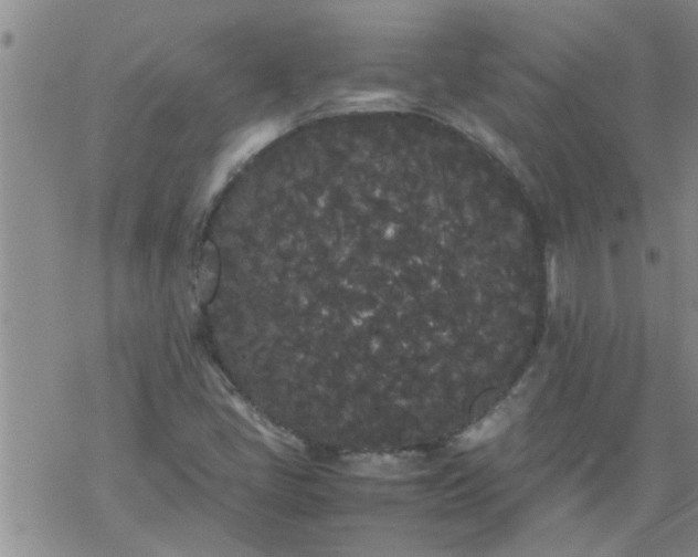 X0000069391405200605192202