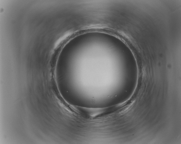 X0000069391406200605192202