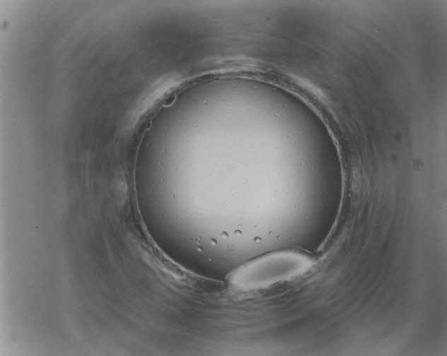 X0000069391407200605192202