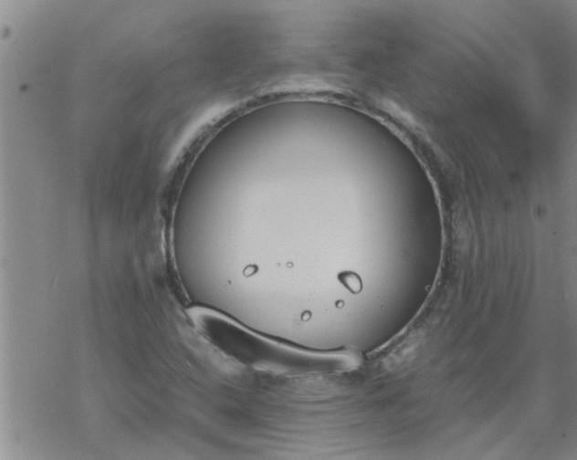 X0000069391408200605192202