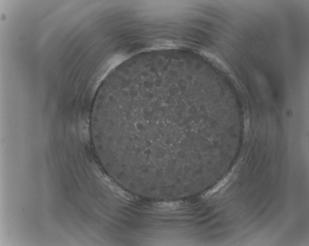 X0000069391409200605192202