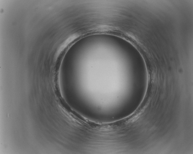 X0000069391410200605192202