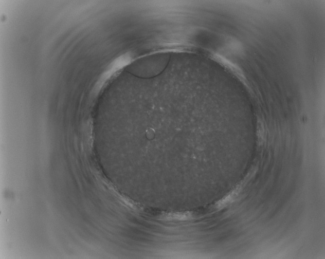 X0000069391411200605192202