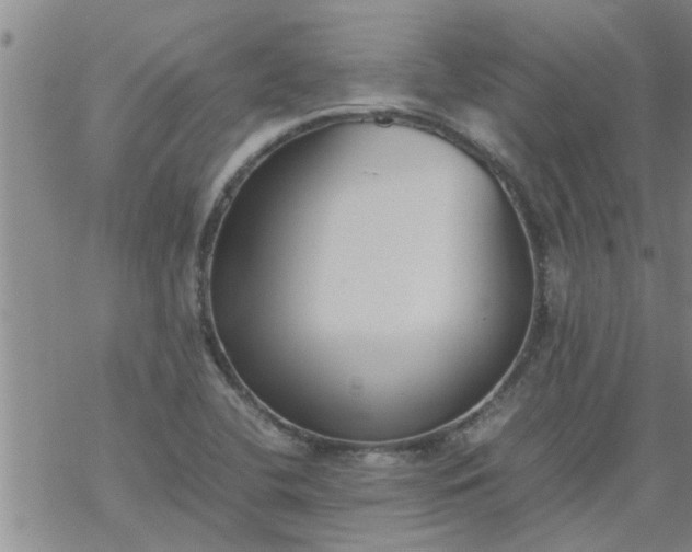 X0000069391412200605192202