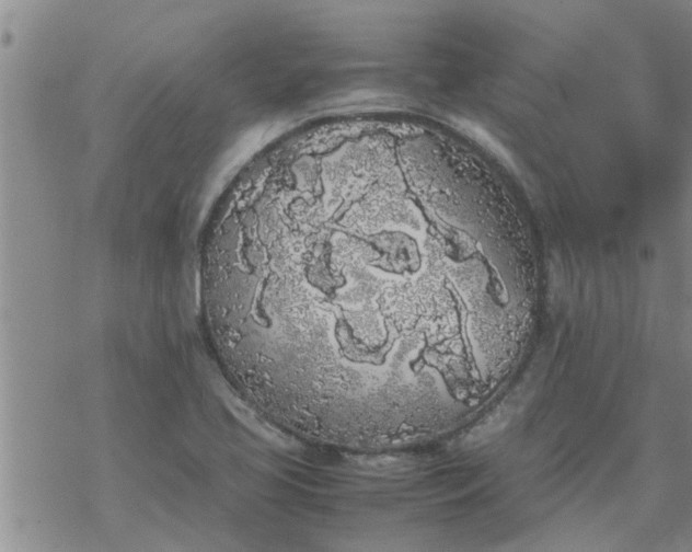 X0000069391413200605192202