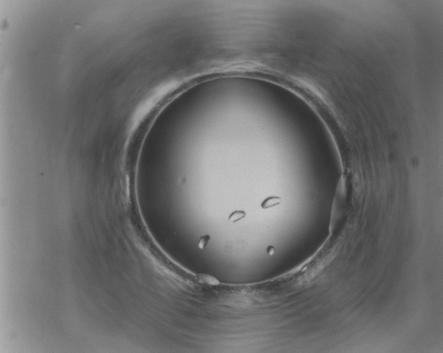 X0000069391414200605192202