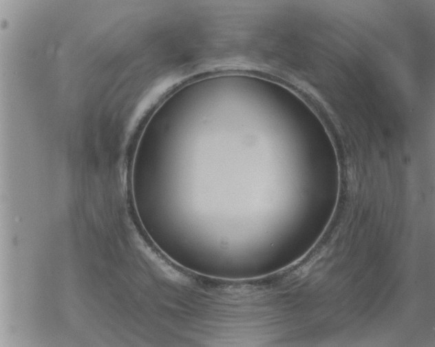 X0000069391416200605192202