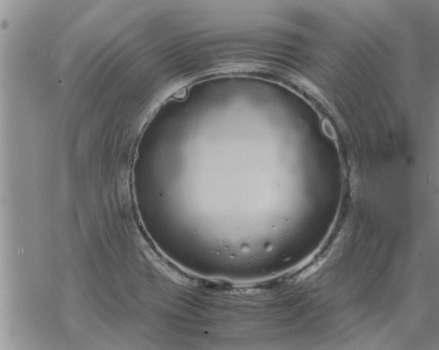 X0000069391417200605192202