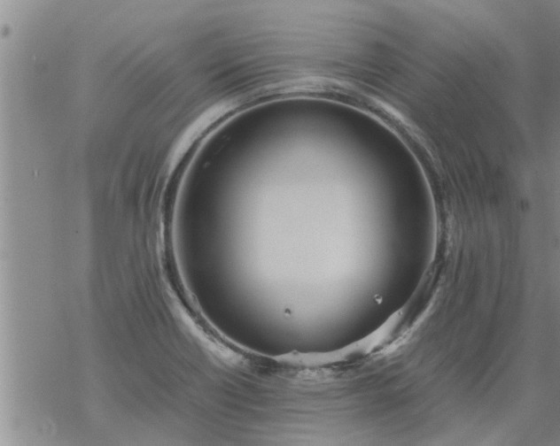 X0000069391418200605192202