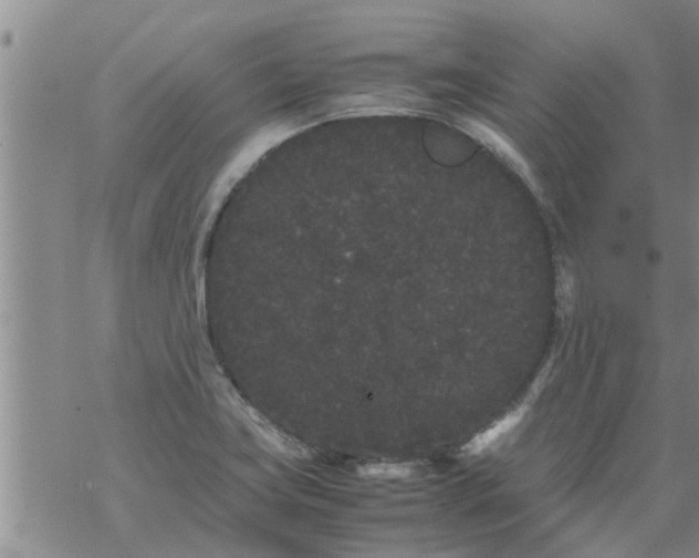 X0000069391419200605192202