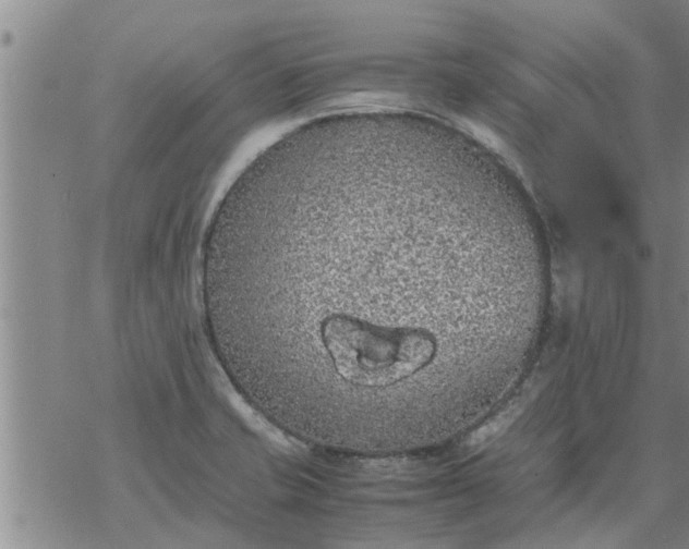 X0000069391421200605192202