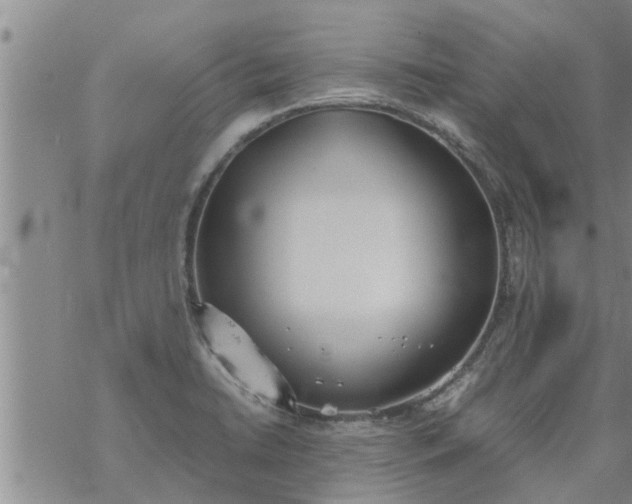 X0000069391422200605192202