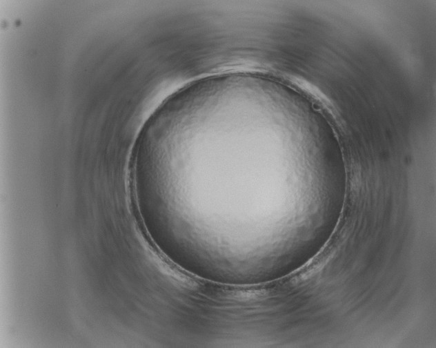 X0000069391423200605192202