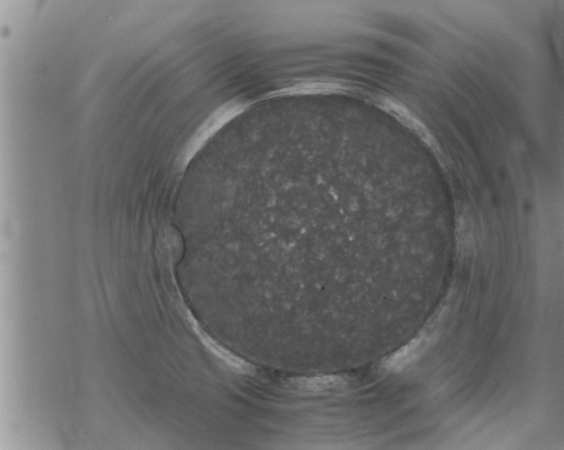 X0000069391425200605192202