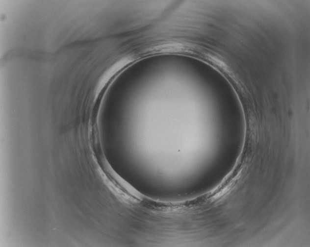 X0000069391426200605192203