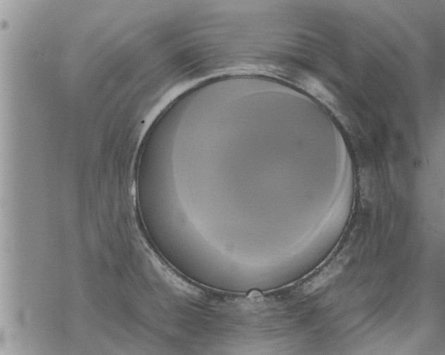 X0000069391428200605192203