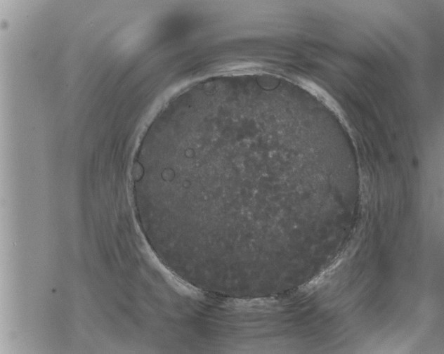 X0000069391429200605192203