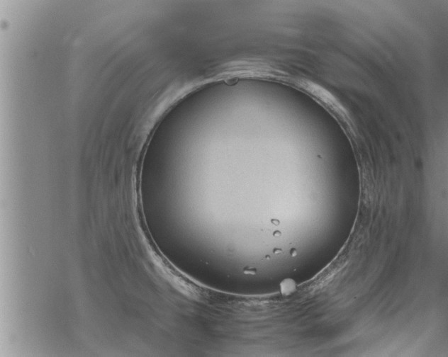 X0000069391431200605192203