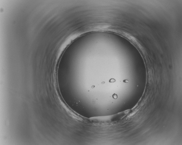 X0000069391432200605192203